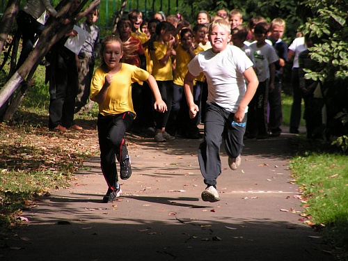 dzdorov_2009_13